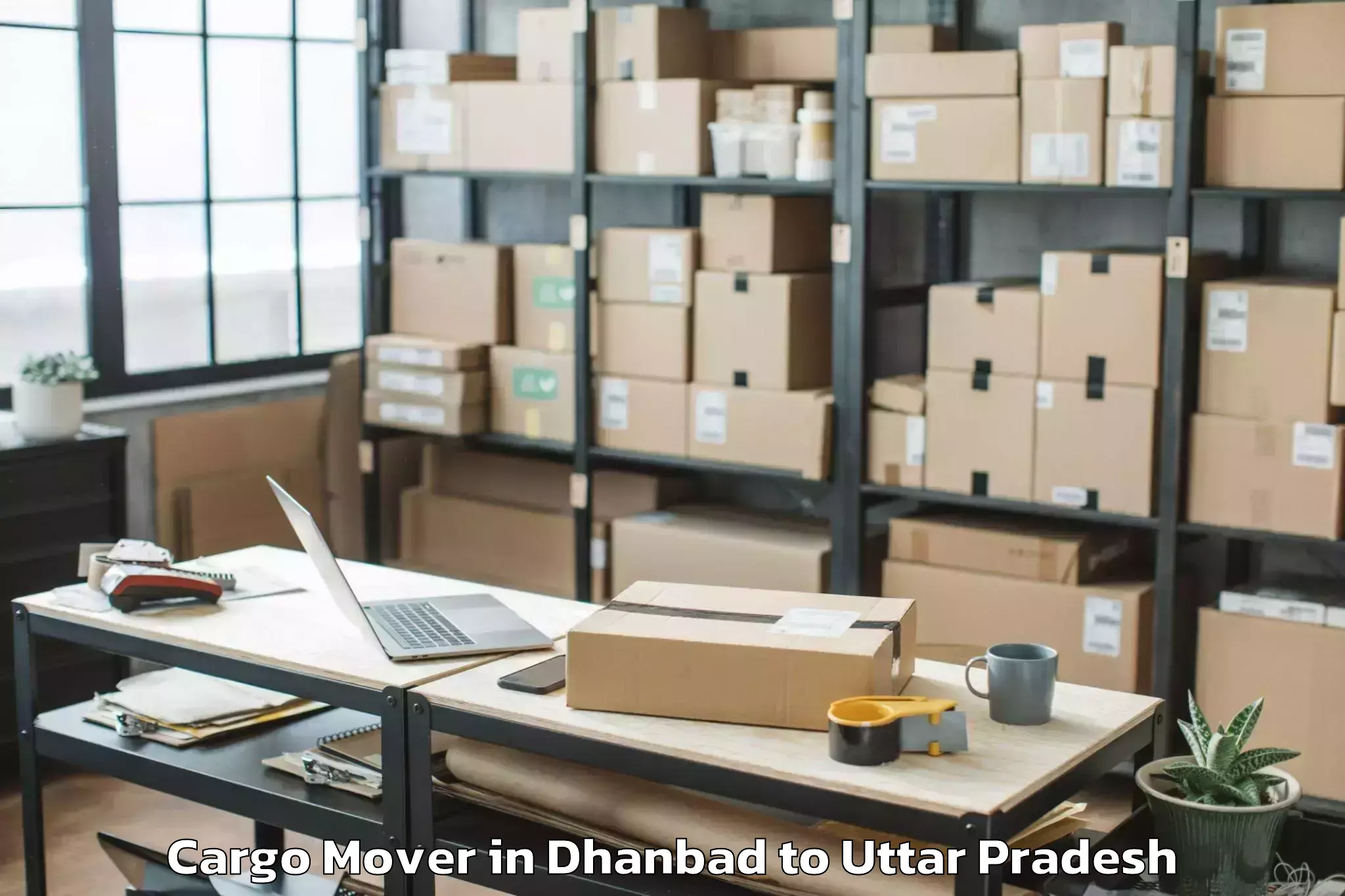 Top Dhanbad to Mahmudabad Cargo Mover Available